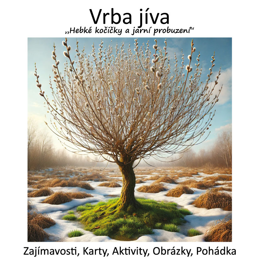 VRBA JÍVA